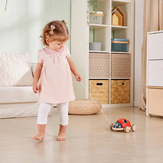 Hape Shape-Sorter Ladybug Wooden Toddler Toy